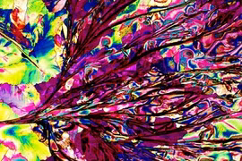 Màu sắc cực độc của các loại rượu