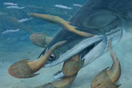 Phát hiện hóa thạch động vật từng thống trị các đại dương