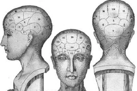 Top phát hiện nóng nhất 2013 về bản chất con người 