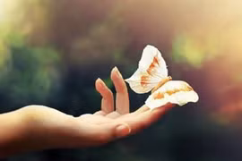 Hãy cứ an nhiên đi, anh nhé!