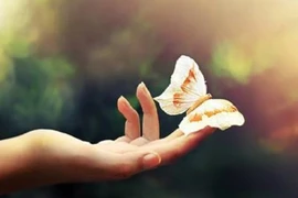 Hãy cứ an nhiên đi, anh nhé!