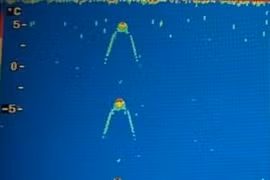 Quái vật hồ Loch Ness tái xuất?