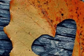 Lấy nhau rồi mới biết...