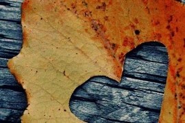 Lấy nhau rồi mới biết...