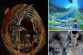 Những con tàu cứu con người khỏi họa diệt vong