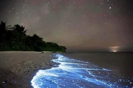 Em sẽ tự vẽ một con đường tình