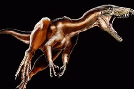 Những bộ vuốt cực “chất” của khủng long