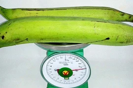 Chuối to nhất Việt Nam: 20.000 đồng một quả