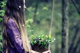 Cái kết của kẻ phản bội