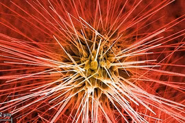 Sửng sốt trước vẻ đẹp của... vật liệu xây dựng