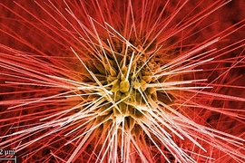 Sửng sốt trước vẻ đẹp của... vật liệu xây dựng