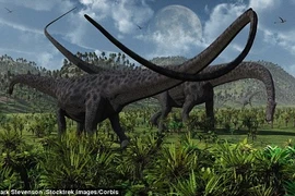 Khủng long kỷ Jura chia thức ăn như thế nào?