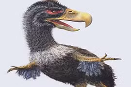 Top 10 khủng long làm nên “thương hiệu” kỷ Jura