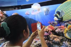 Instagram có thể phá hủy não người?