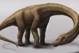 Những điều đáng kinh ngạc về 10 loài khủng long lớn nhất