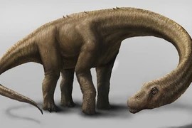 Những điều đáng kinh ngạc về 10 loài khủng long lớn nhất