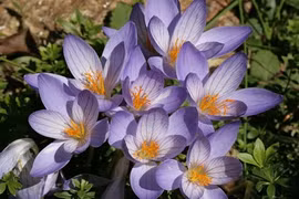 Điểm mặt các mỹ nhân sát thủ