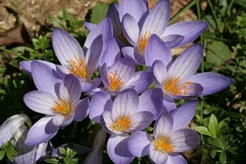 Điểm mặt các mỹ nhân sát thủ