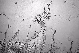 Hình thù kỳ lạ, quái dị của... nước mắt