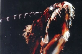 Quái vật mắt lồi kinh dị dưới biển sâu