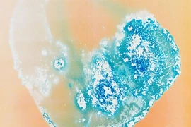 Ma túy có hình dáng thế nào dưới kính hiển vi 