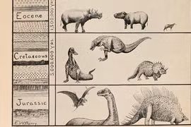 Kỳ thú những biểu đồ khoa học từ thế kỷ 19