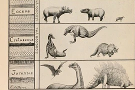 Kỳ thú những biểu đồ khoa học từ thế kỷ 19