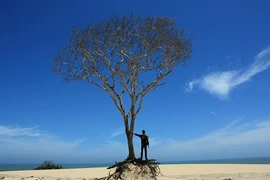 Cô ấy giết con tôi