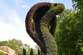 Đến thăm vương quốc của các quái thú khổng lồ