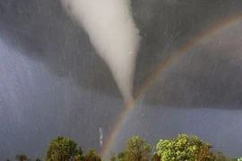 Những hình ảnh gây sốc có thật (2)