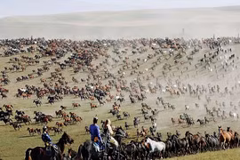 Choáng ngợp hàng nghìn chiến mã bay trên đồng cỏ