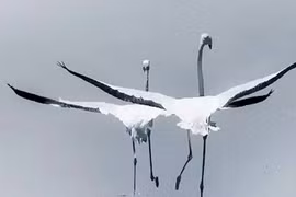 “Đàn ông sợ người vợ sau“