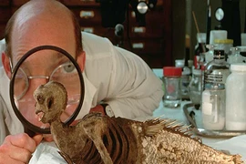 Những cú lừa khoa học gây sốc nhất (2)