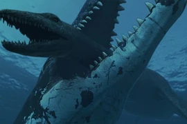 Quái vật biển có thể nuốt chửng bò bằng 1 cú đớp