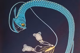 Xuất hiện hàng loạt loại cá kỳ dị mới?