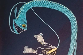 Xuất hiện hàng loạt loại cá kỳ dị mới?