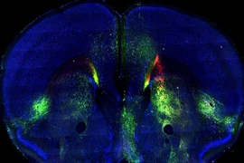 Ảnh khoa học tuần: Kinh hoàng sức mạnh của gió lỗ đen