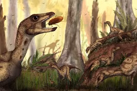 Phát hiện loài khủng long to bằng con... cáo