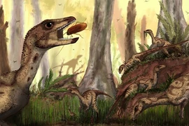 Phát hiện loài khủng long to bằng con... cáo