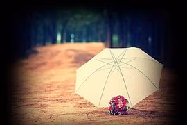 Nếu không có anh