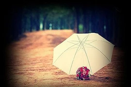 Nếu không có anh