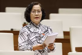 ĐBQH Trần Thị Quốc Khánh: “Phải tái giám sát vấn đề bảo vệ môi trường”
