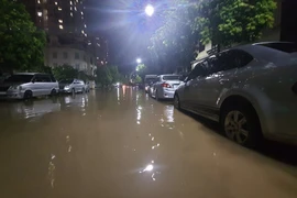 Hà Nội mưa lớn, nhiều tuyến đường ngập sâu, cây cối gãy đổ 