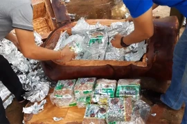 Lật tẩy muôn kiểu giấu ma túy “trên trời dưới đất” 