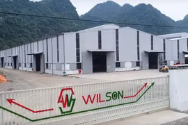 Làm rõ vụ nữ công nhân Cty Wilson Hoà Bình tử vong