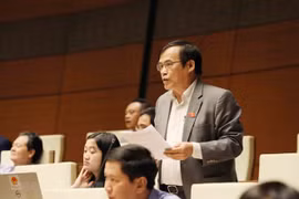 ĐBQH Phùng Văn Hùng nêu ý kiến về chất lượng công tác biệt phái 