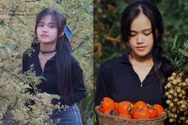 Cô nhân viên văn phòng rời phố về quê để “trồng rau, nuôi cá”