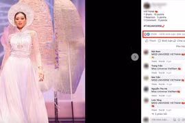 Xuất hiện các fanpage cuộc thi Miss Universe giả mạo, “câu” hàng trăm nghìn lượt tương tác