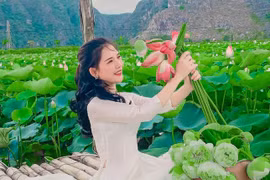 Sen Ninh Bình mang vẻ đẹp khó cưỡng