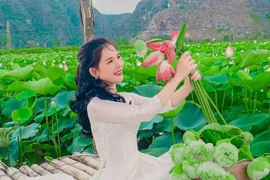 Sen Ninh Bình mang vẻ đẹp khó cưỡng